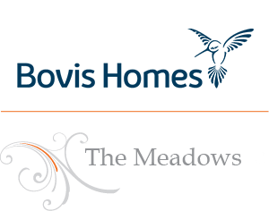 The Meadows Travel Choices